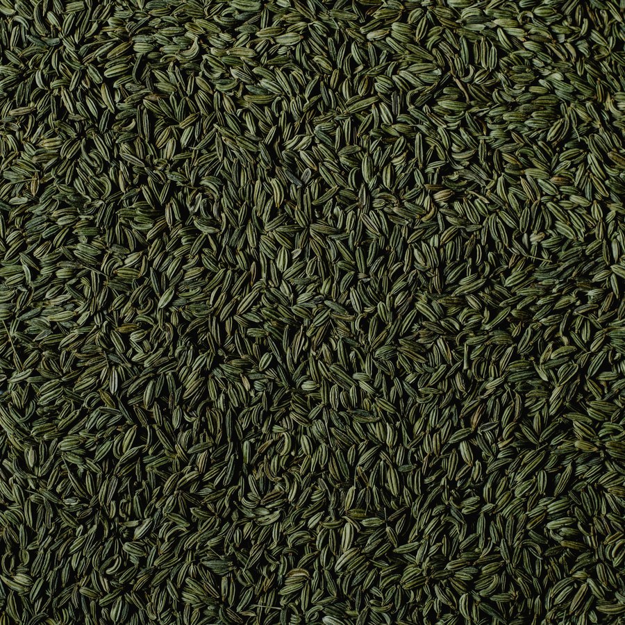 Fennel Seed (Saunf) export from India