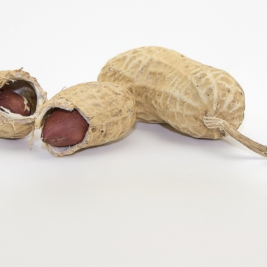 Java Peanuts export from India