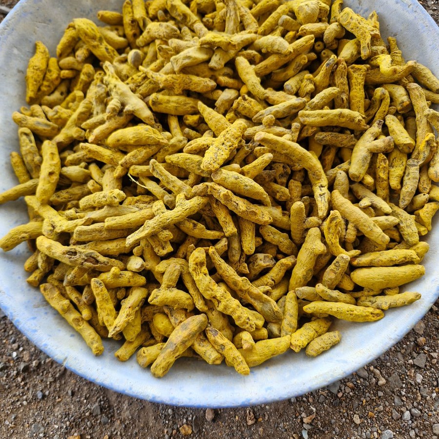 Turmeric export from India